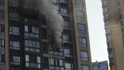 王庄最新爆料消息今天封城了,紧急封城,最新动态揭秘 第1张 王庄最新爆料消息今天封城了,紧急封城,最新动态揭秘 第1张