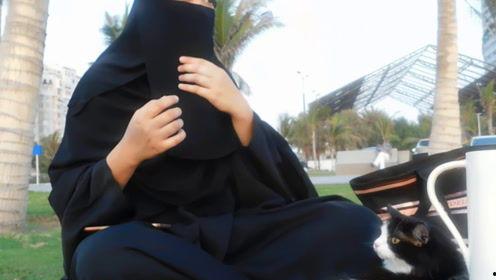 娱乐吃瓜君吃饭,揭秘明星饭局背后的故事  第1张